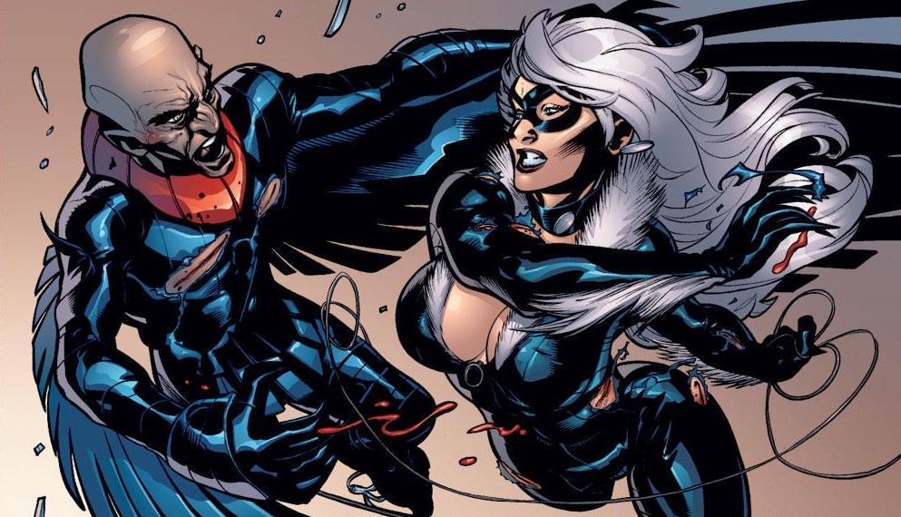 Black Cat fights Black Cat fights