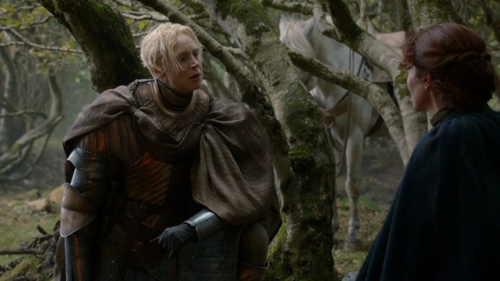 Brienne of Tarth's Oath to Lady Stark