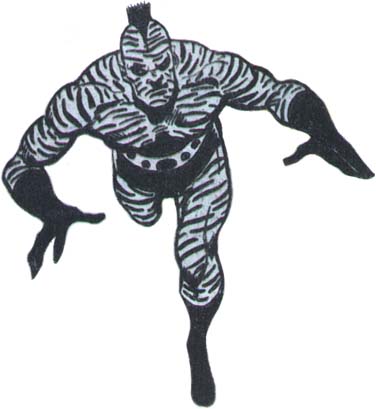 Zebra Man