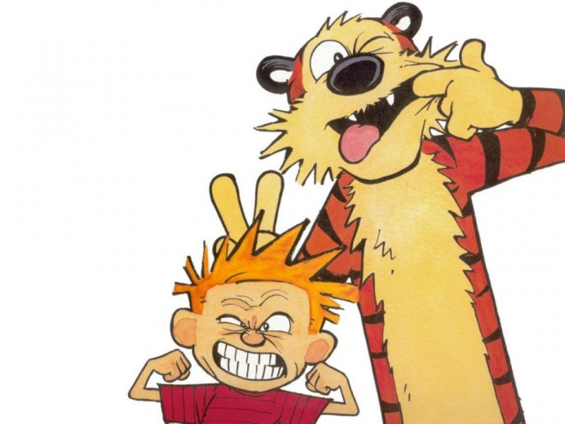 Calvin-Hobbes