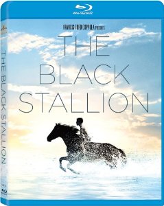 the black stallion blu-ray